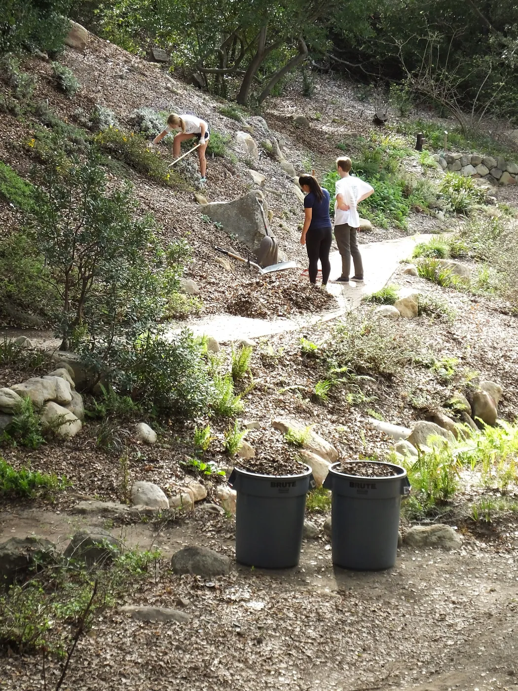 Volunteers from Cate School working in the Arroyo Section