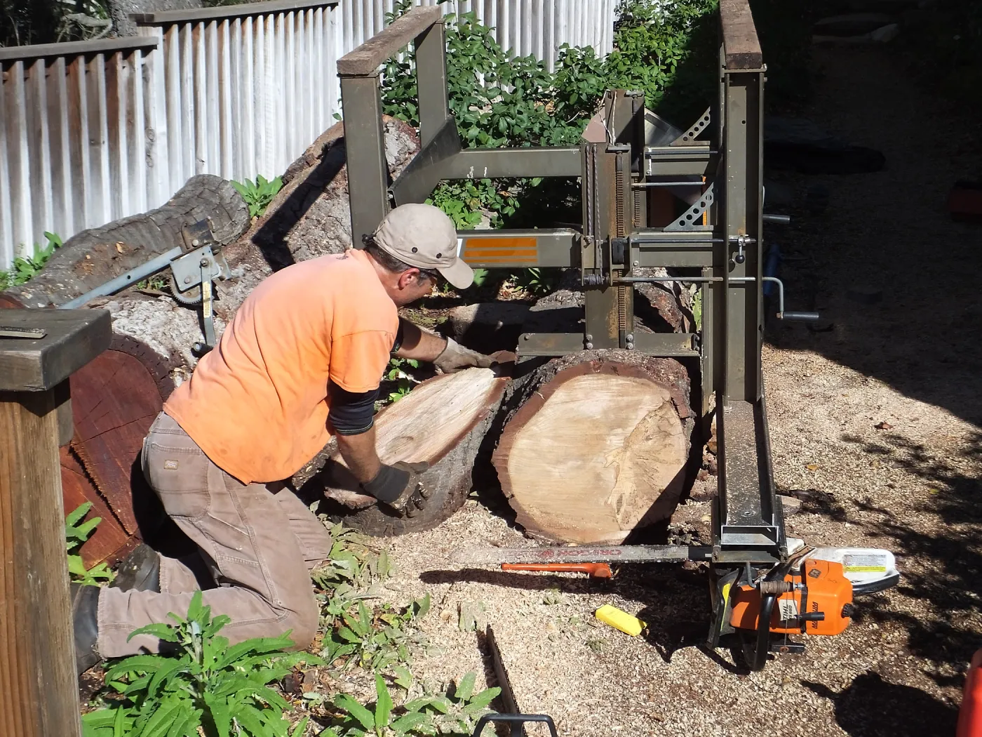Trunk of former Cottage Oak (Coastal Live Oak) being milled into slabs by Ed Smith of Local Wood