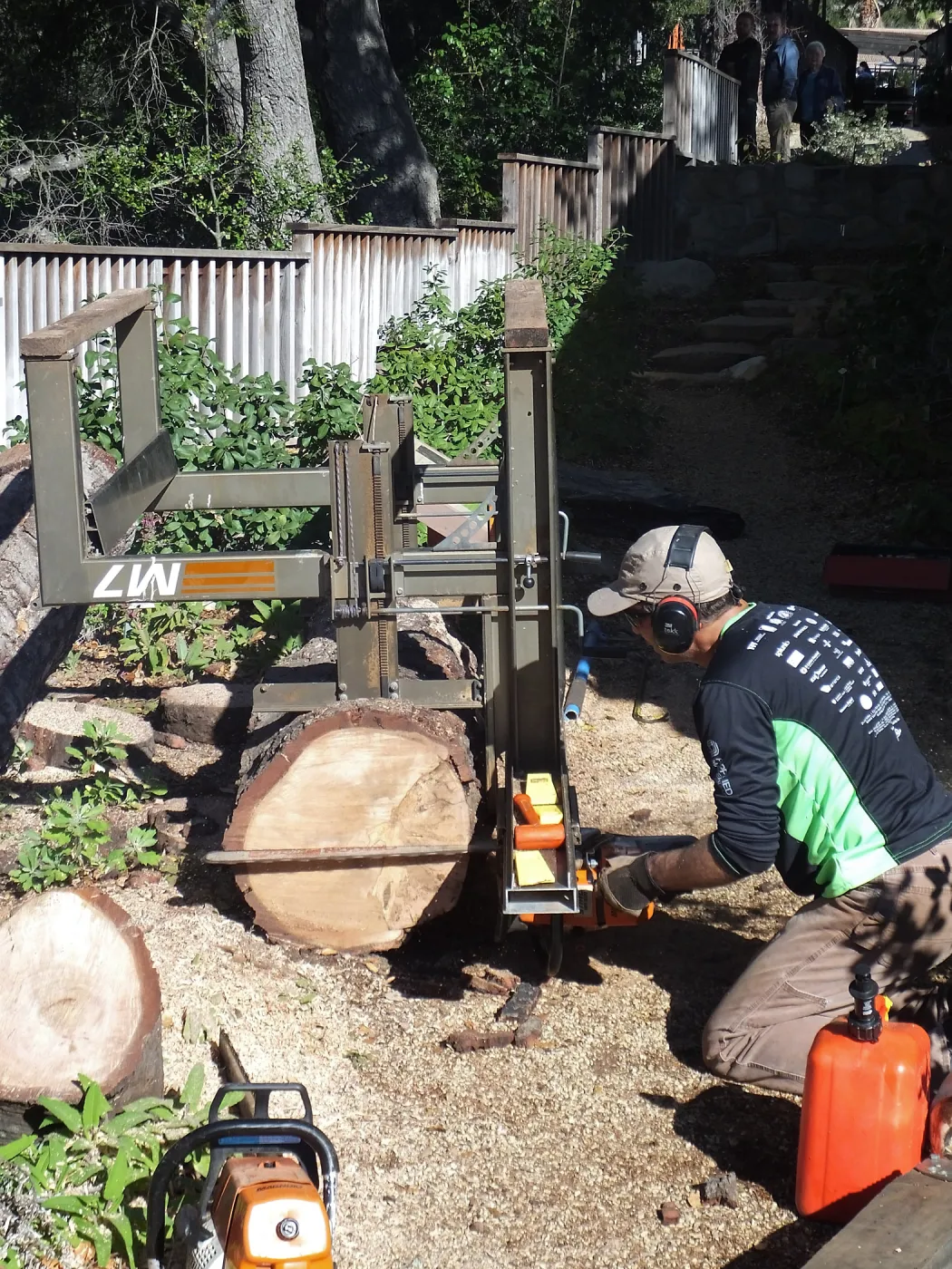 Trunk of former Cottage Oak (Coastal Live Oak) being milled into slabs by Ed Smith of Local Wood