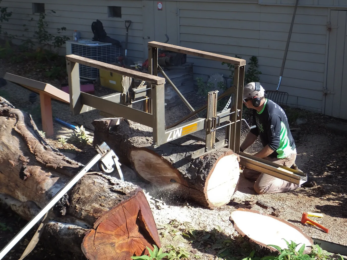 Trunk of former Cottage Oak (Coastal Live Oak) being milled into slabs by Ed Smith of Local Wood