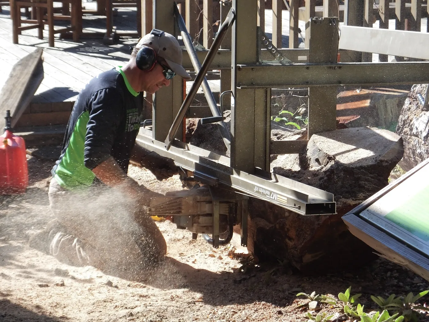 Trunk of former Cottage Oak (Coastal Live Oak) being milled into slabs by Ed Smith of Local Wood