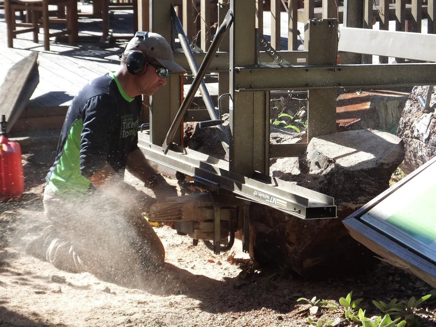 Trunk of former Cottage Oak (Coastal Live Oak) being milled into slabs by Ed Smith of Local Wood