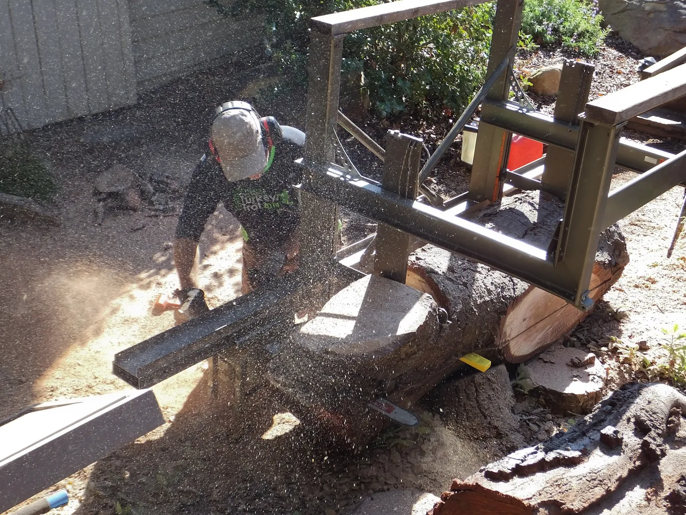 Trunk of former Cottage Oak (Coastal Live Oak) being milled into slabs by Ed Smith of Local Wood