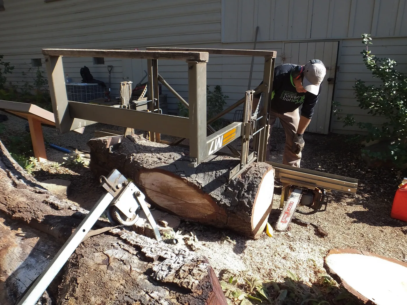 Trunk of former Cottage Oak (Coastal Live Oak) being milled into slabs by Ed Smith of Local Wood