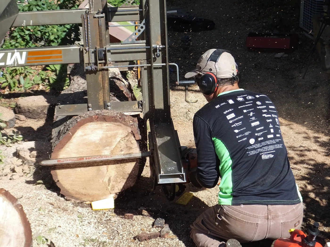 Trunk of former Cottage Oak (Coastal Live Oak) being milled into slabs by Ed Smith of Local Wood