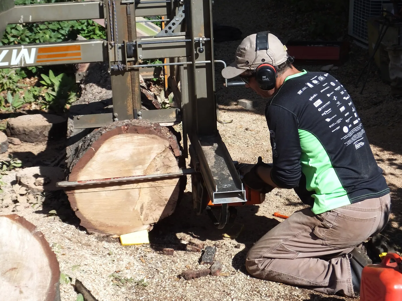 Trunk of former Cottage Oak (Coastal Live Oak) being milled into slabs by Ed Smith of Local Wood
