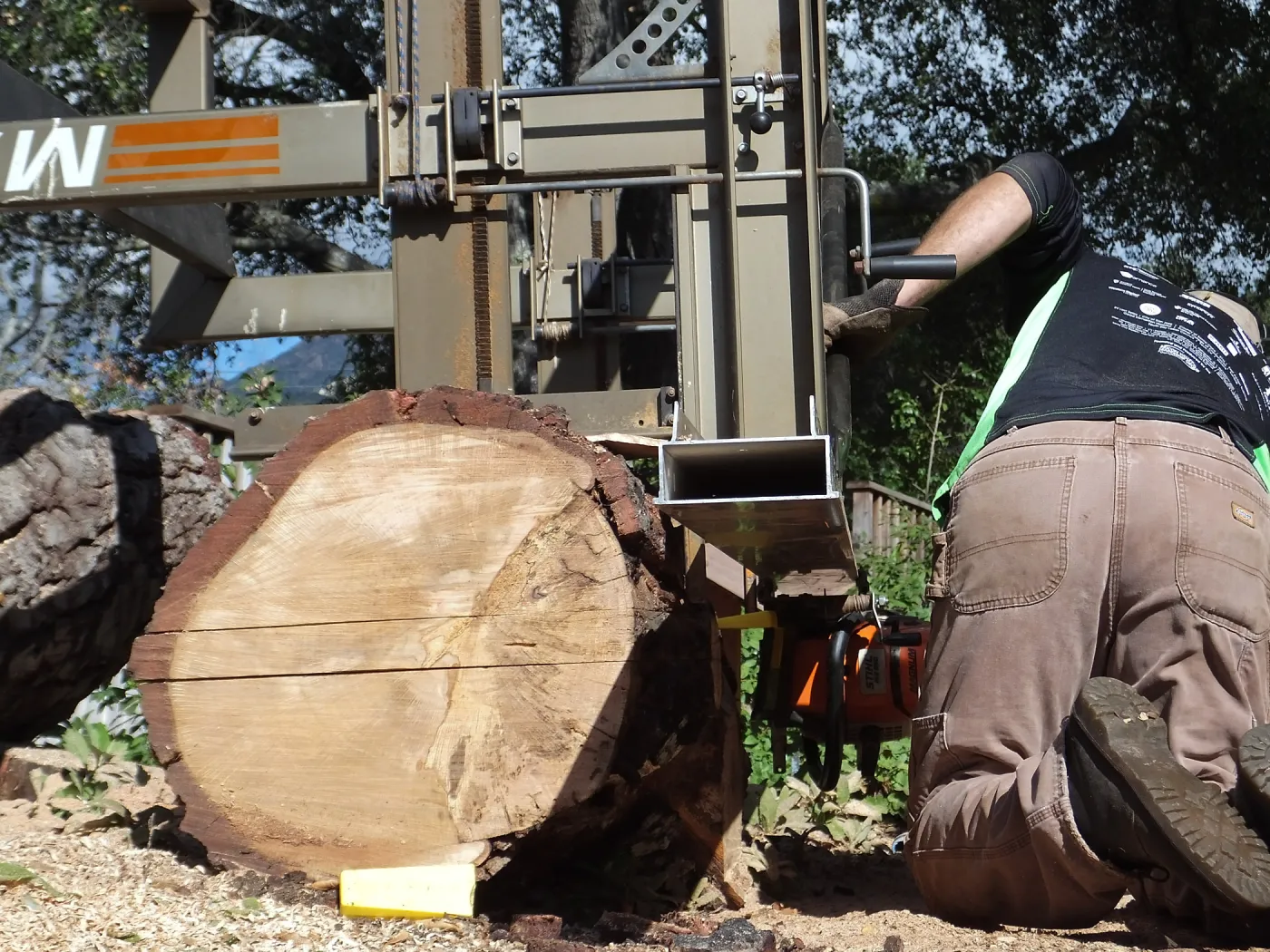 Trunk of former Cottage Oak(Coastal Live Oak) being milled into slabs by Ed Smith of Local Wood