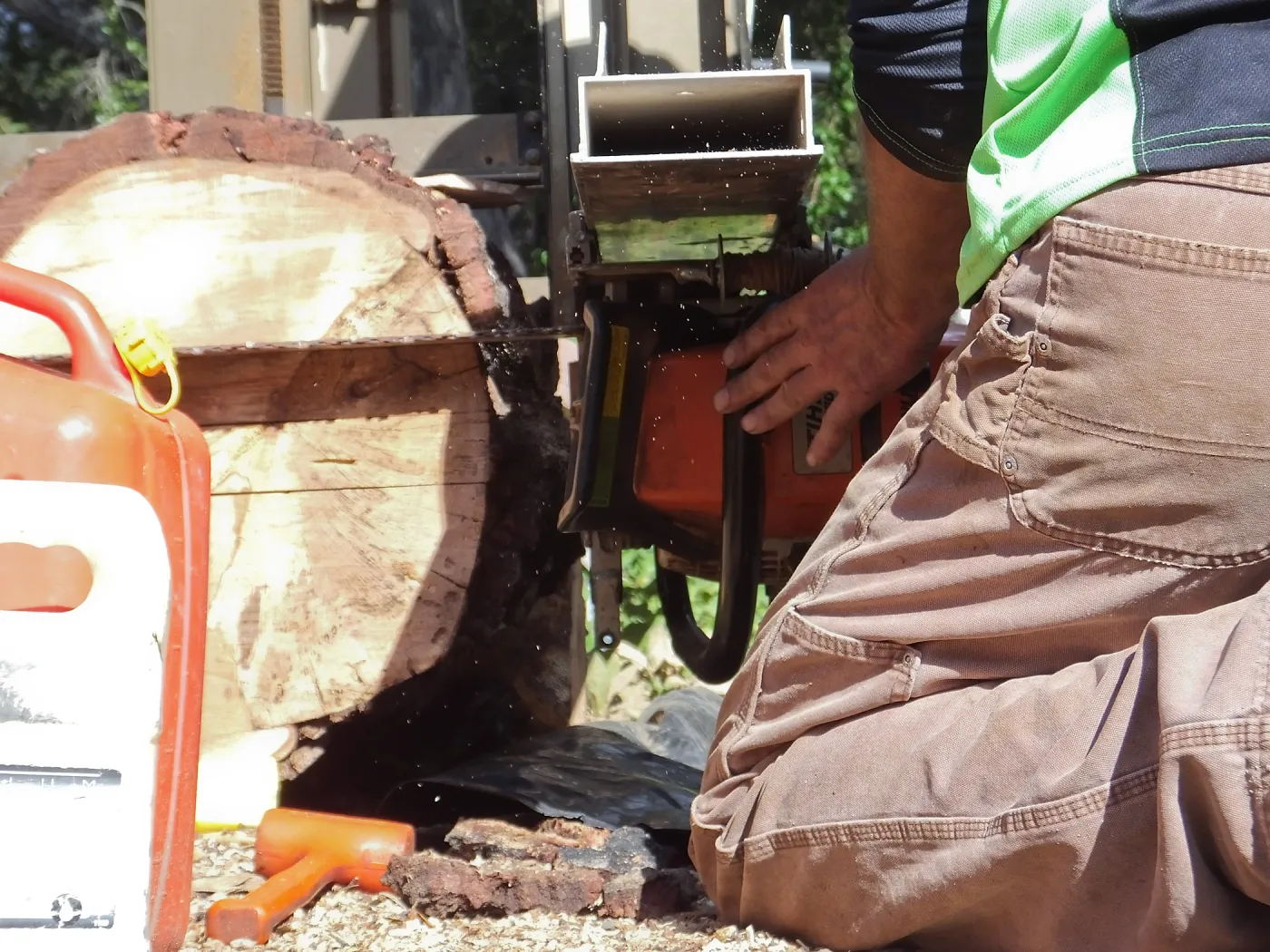 Trunk of former Cottage Oak (Coastal Live Oak) being milled into slabs by Ed Smith of Local Wood