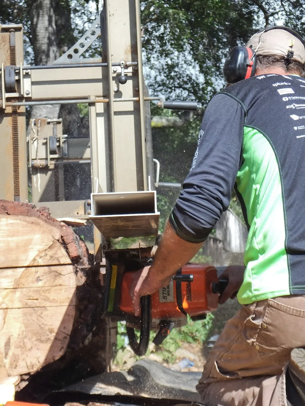 Trunk of former Cottage Oak (Coastal Live Oak)being milled into slabs by Ed Smith of Local Wood