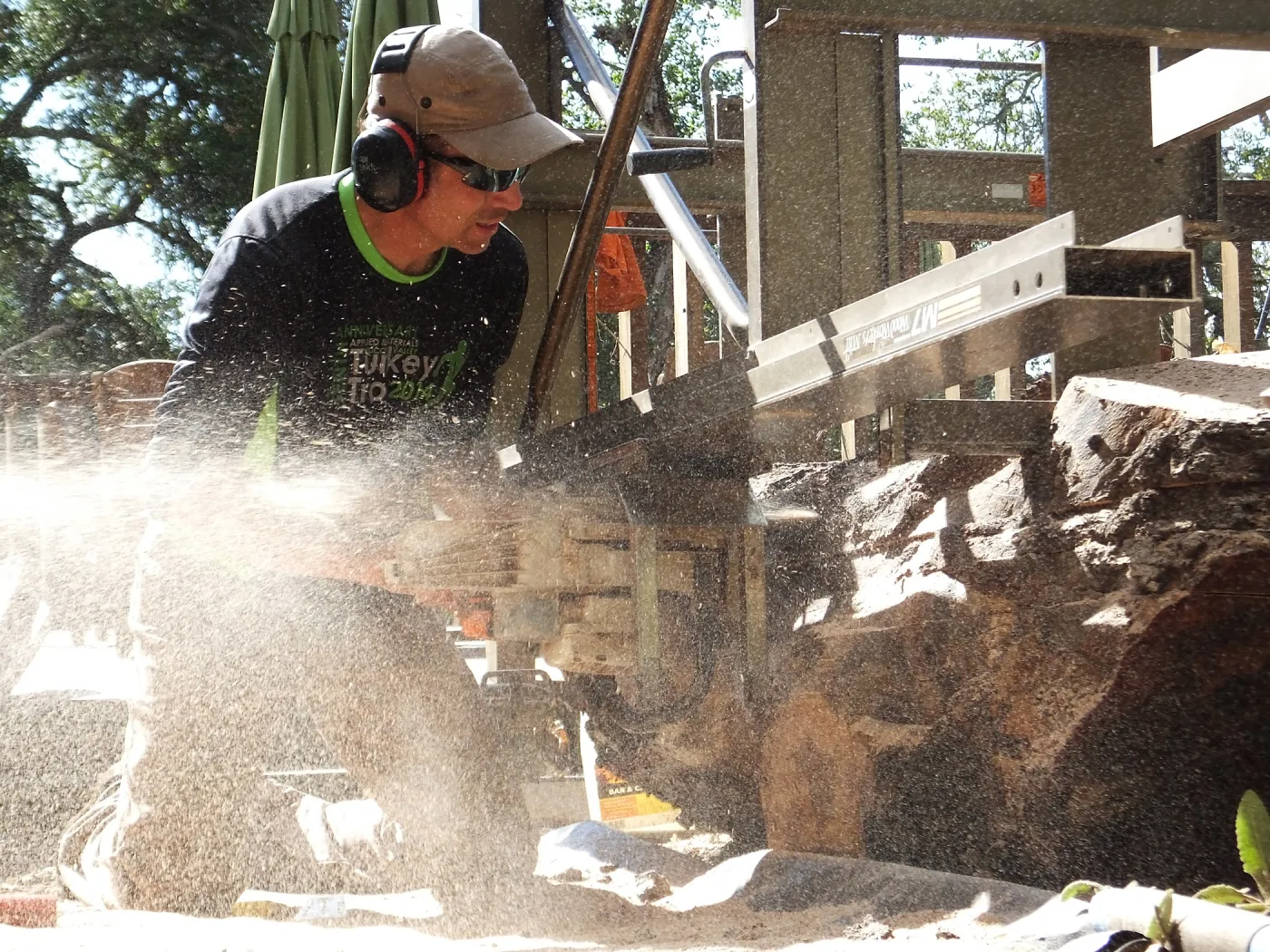 Trunk of former Cottage Oak (Coastal Live Oak) being milled into slabs by Ed Smith of Local Wood