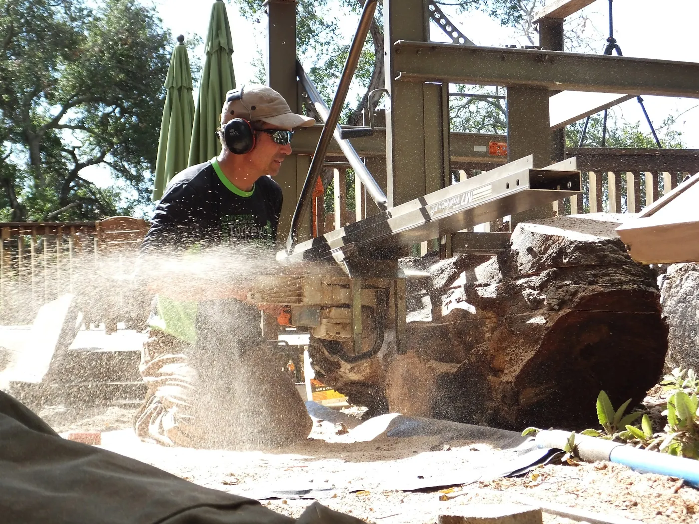 Trunk of former Cottage Oak (Coastal Live Oak) being milled into slabs by Ed Smith of Local Wood
