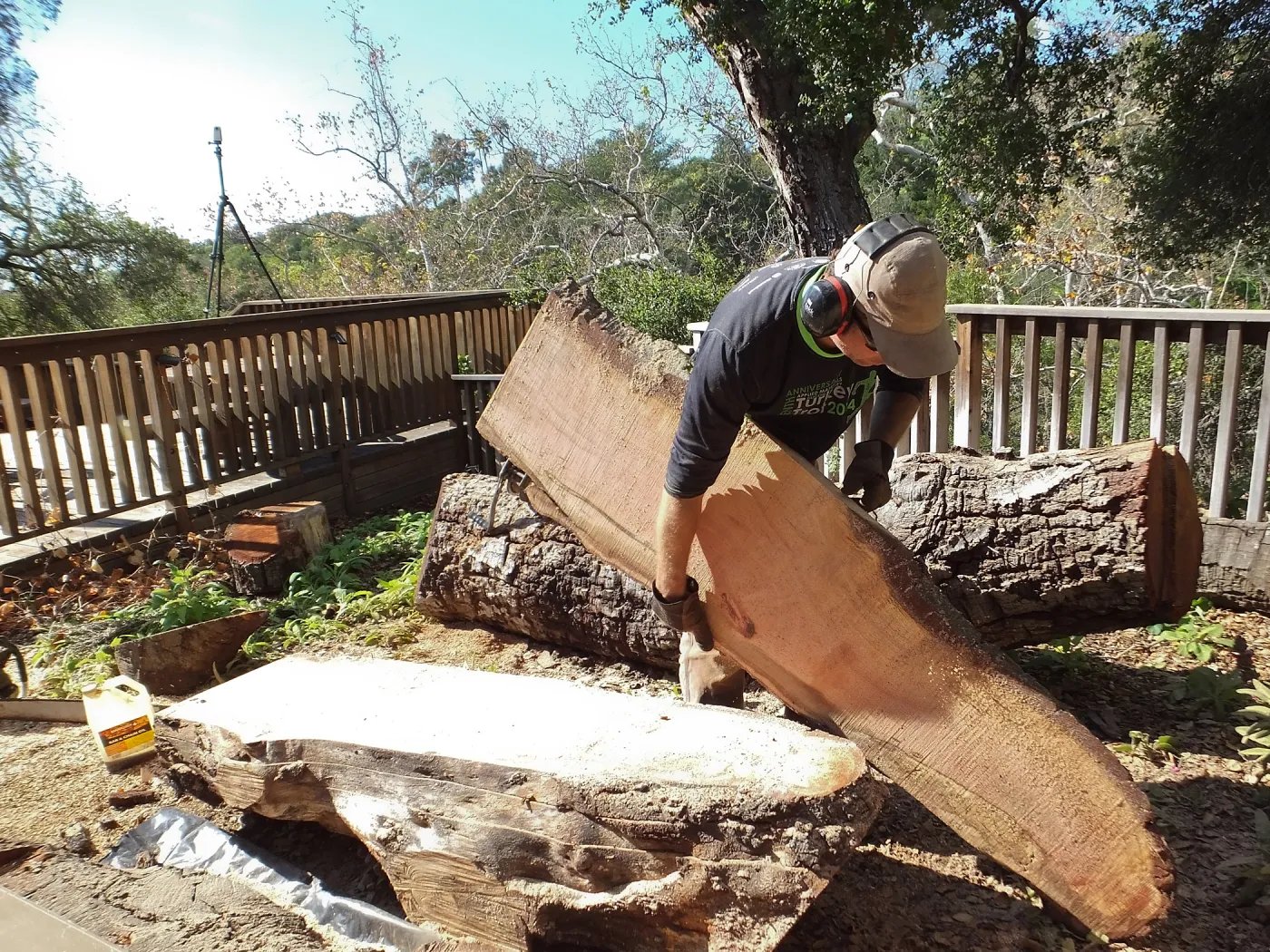 Trunk of former Cottage Oak (Coastal Live Oak) being milled into slabs by Ed Smith of Local Wood
