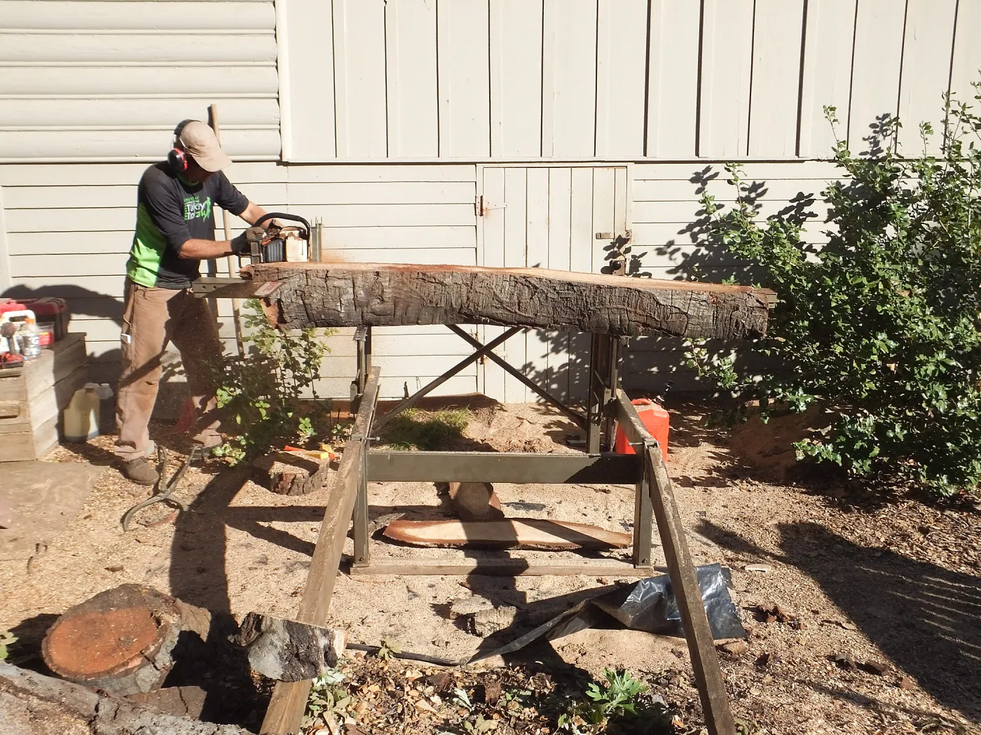 Trunk of former Cottage Oak (Coastal Live Oak) being milled into slabs by Ed Smith of Local Wood