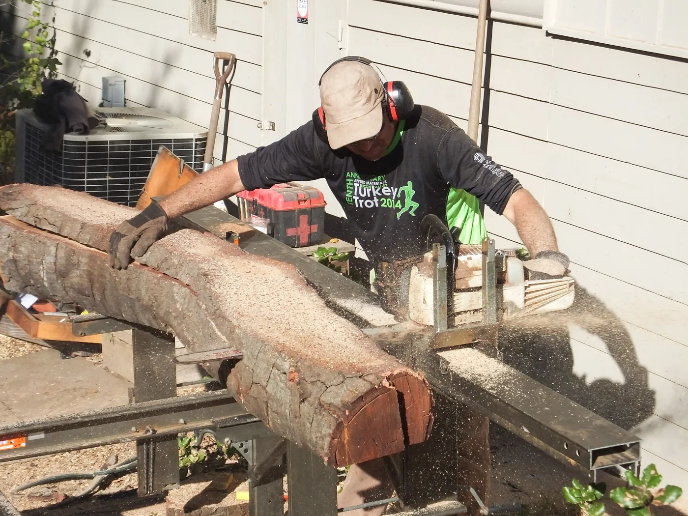 Trunk of former Cottage Oak (Coastal Live Oak) being milled into slabs by Ed Smith of Local Wood