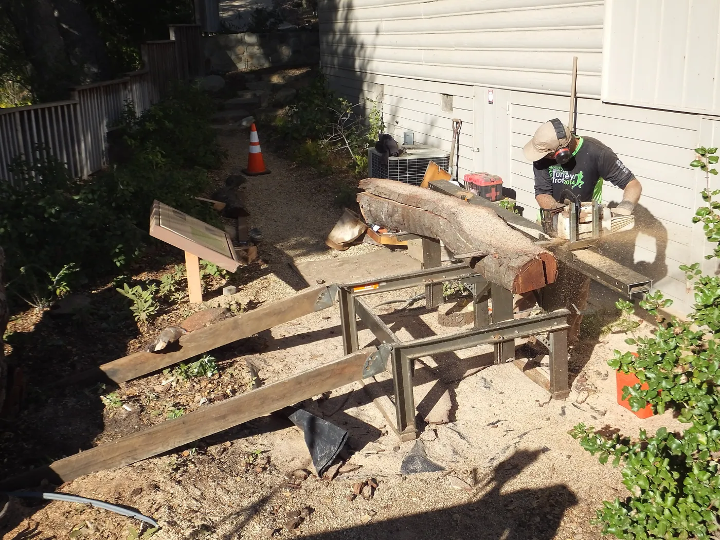 Trunk of former Cottage Oak (Coastal Live Oak) being milled into slabs by Ed Smith of Local Wood