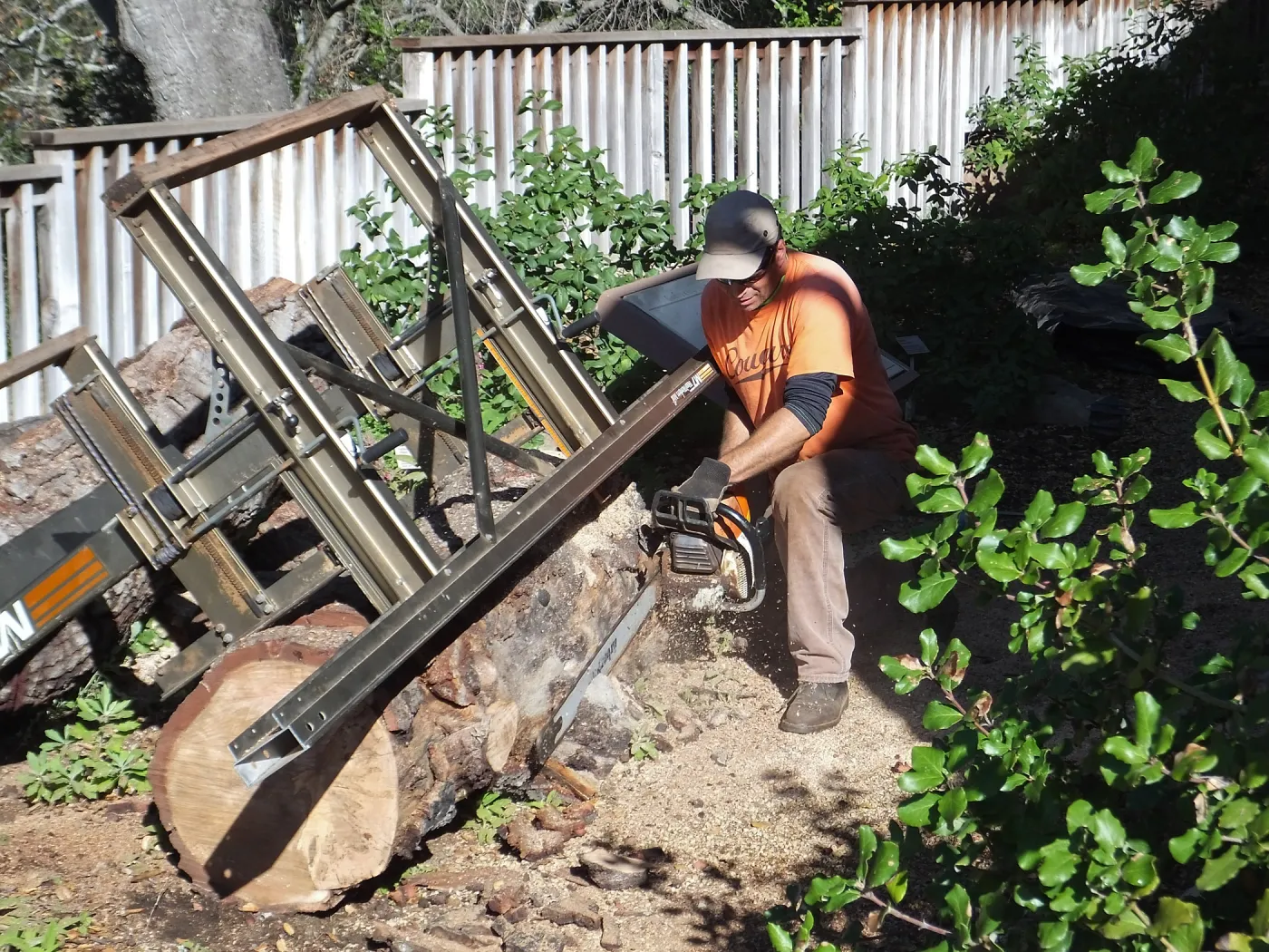 Trunk of former Cottage Oak being milled into slabs by Ed Smith of Local Wood
