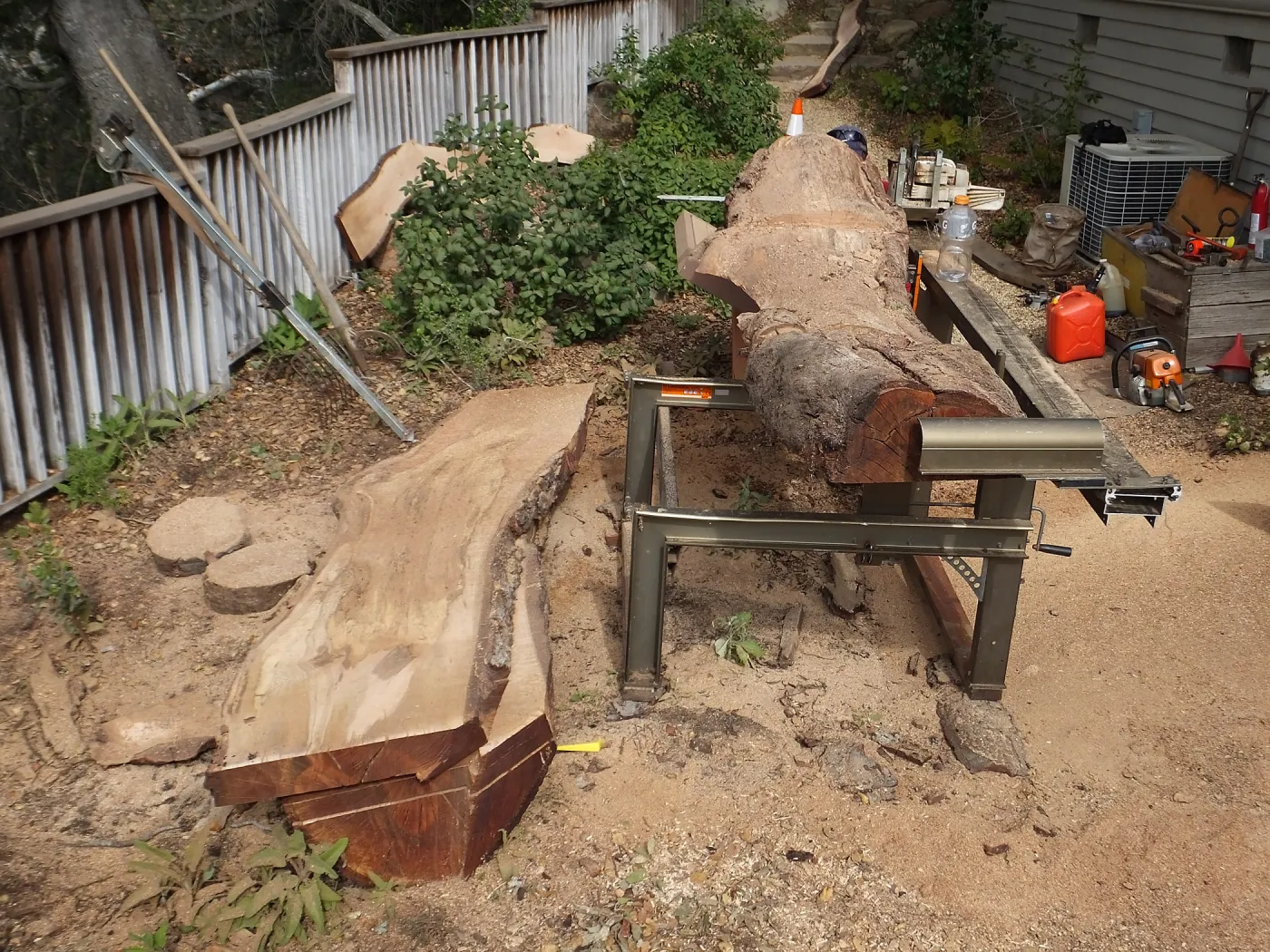 Trunk of former Cottage Oak being milled into slabs