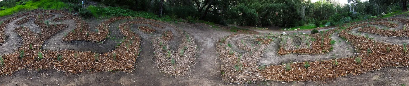 Centennial Maze
