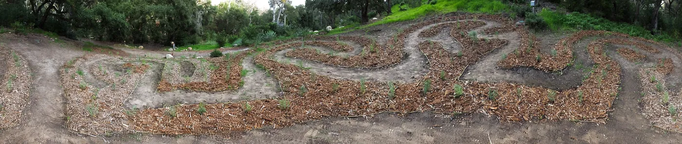 Centennial Maze