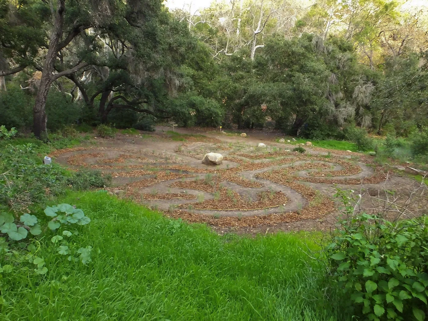 Centennial Maze