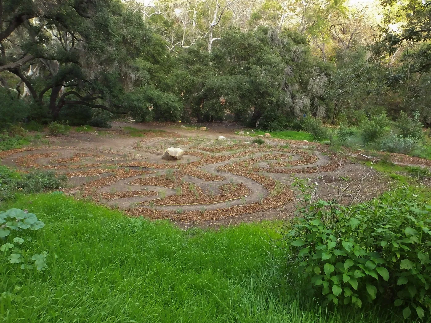 Centennial Maze