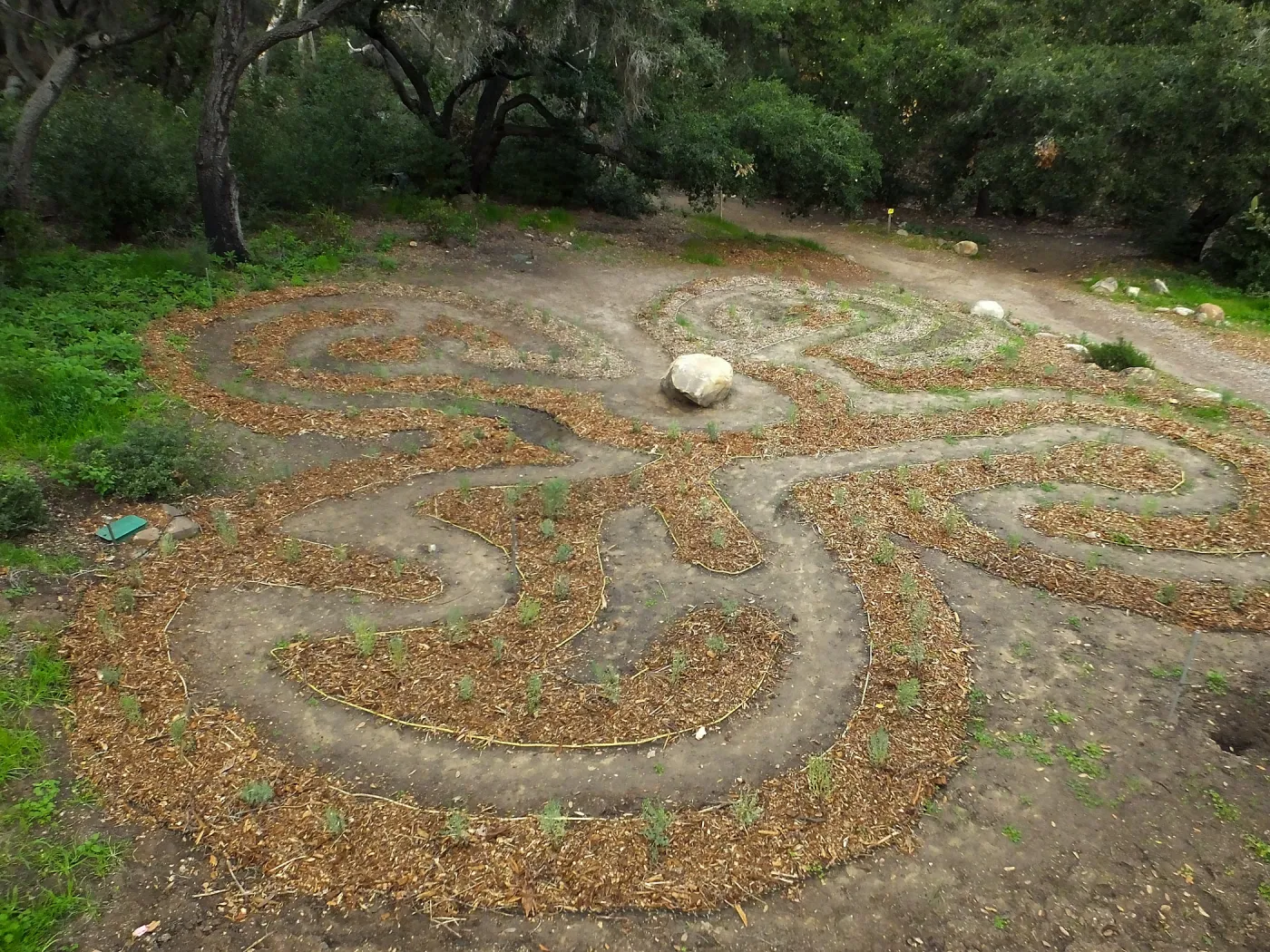 Centennial Maze