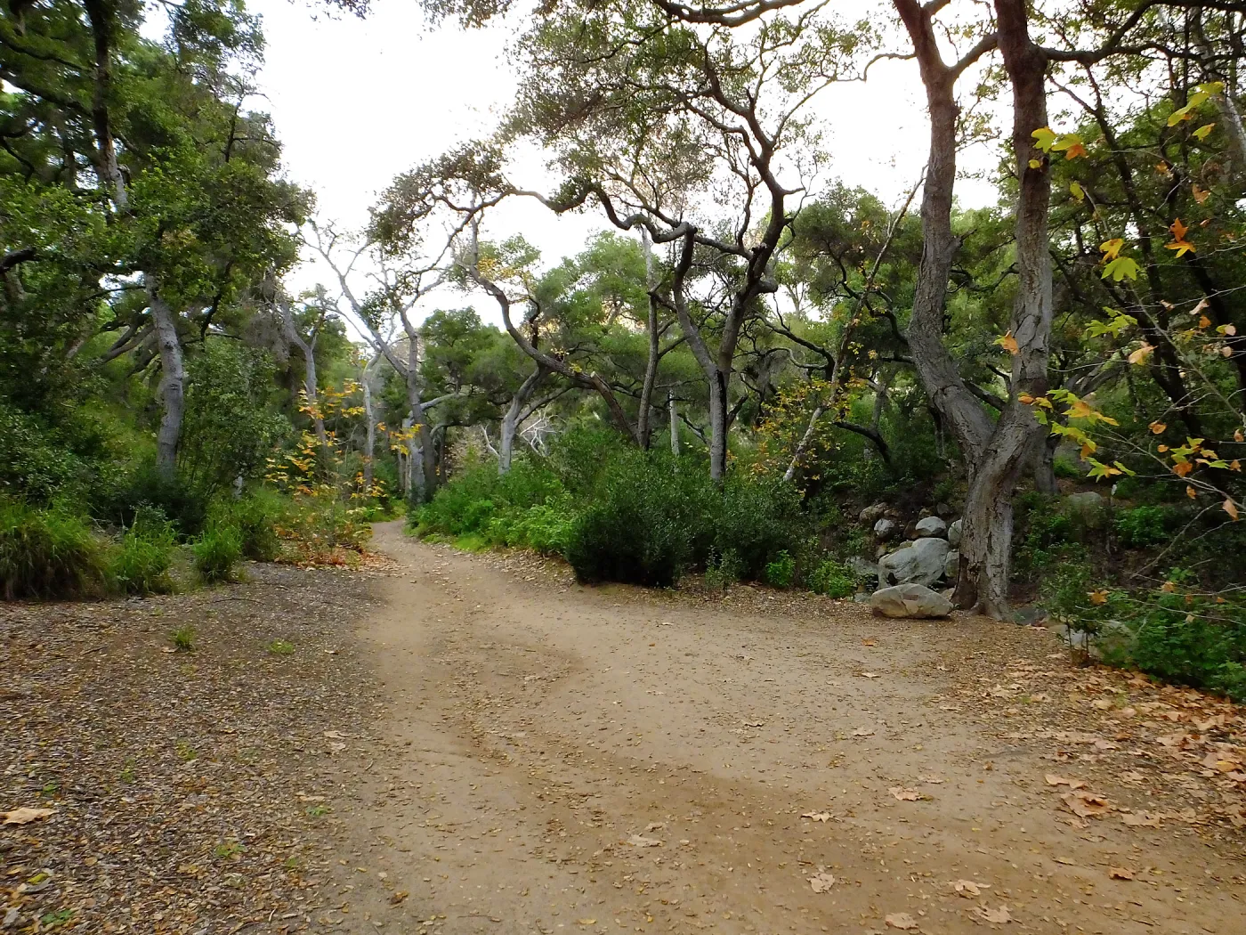 Canyon Trail