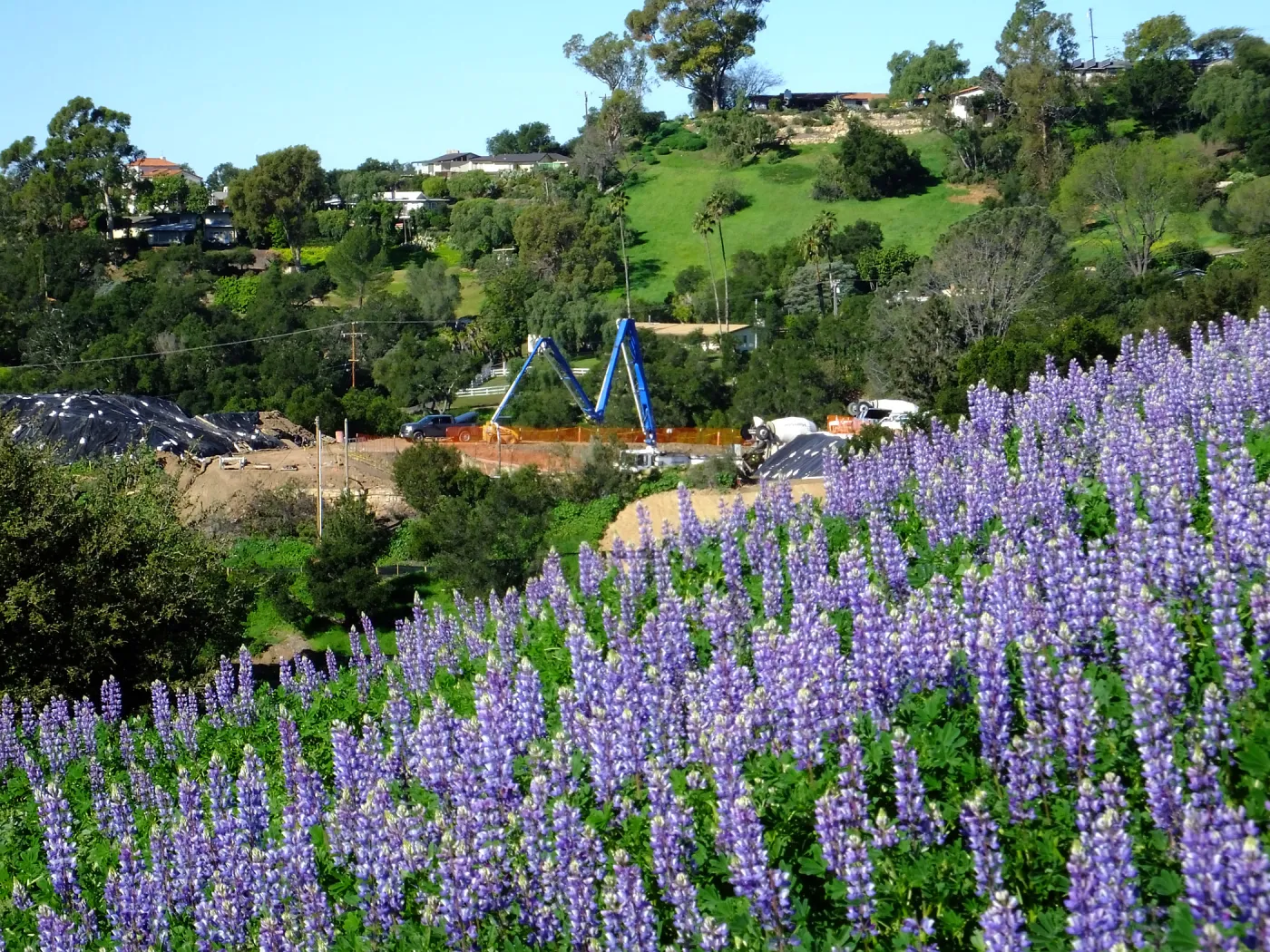 Pritzlaff Conservation Center construction work from Cavalli Ridge with lupines