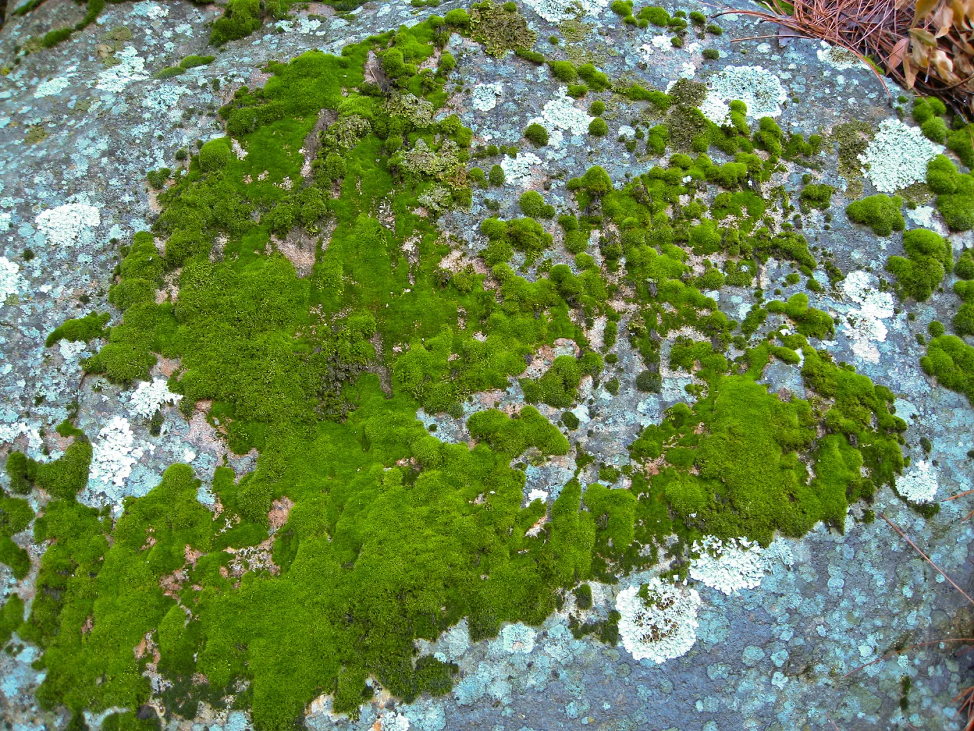 La Cumbre Peak east Camino Cielo