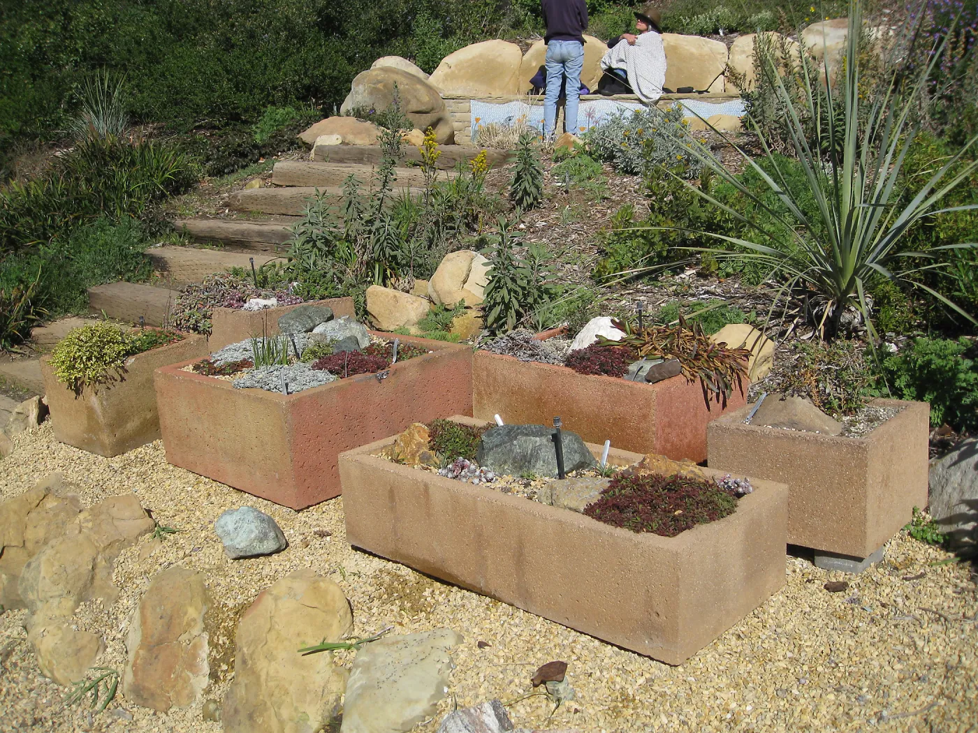 Trough planters at steps to Mosaic bench