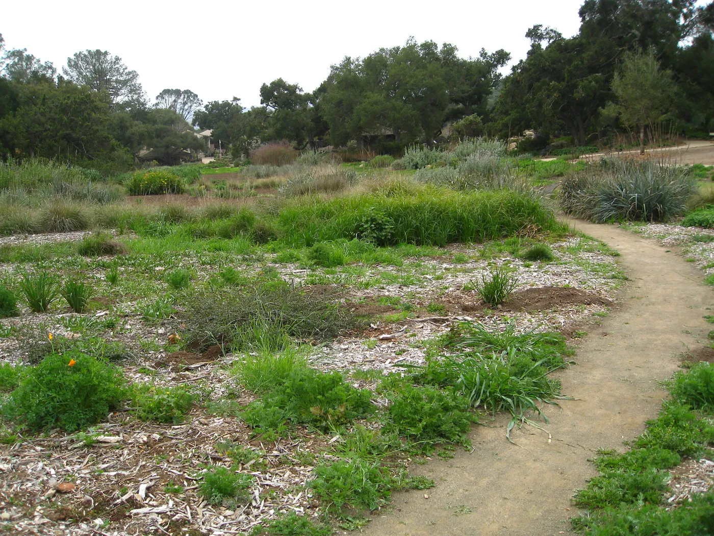 Meadow with Gift Shop and old Kiosk in background