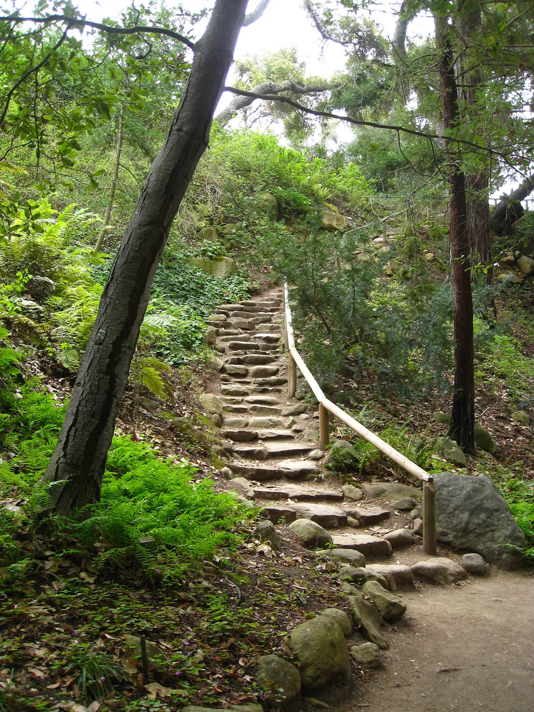 Indian Steps to the Redwood Section