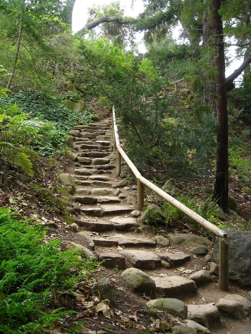Indian Steps to the Redwood Section