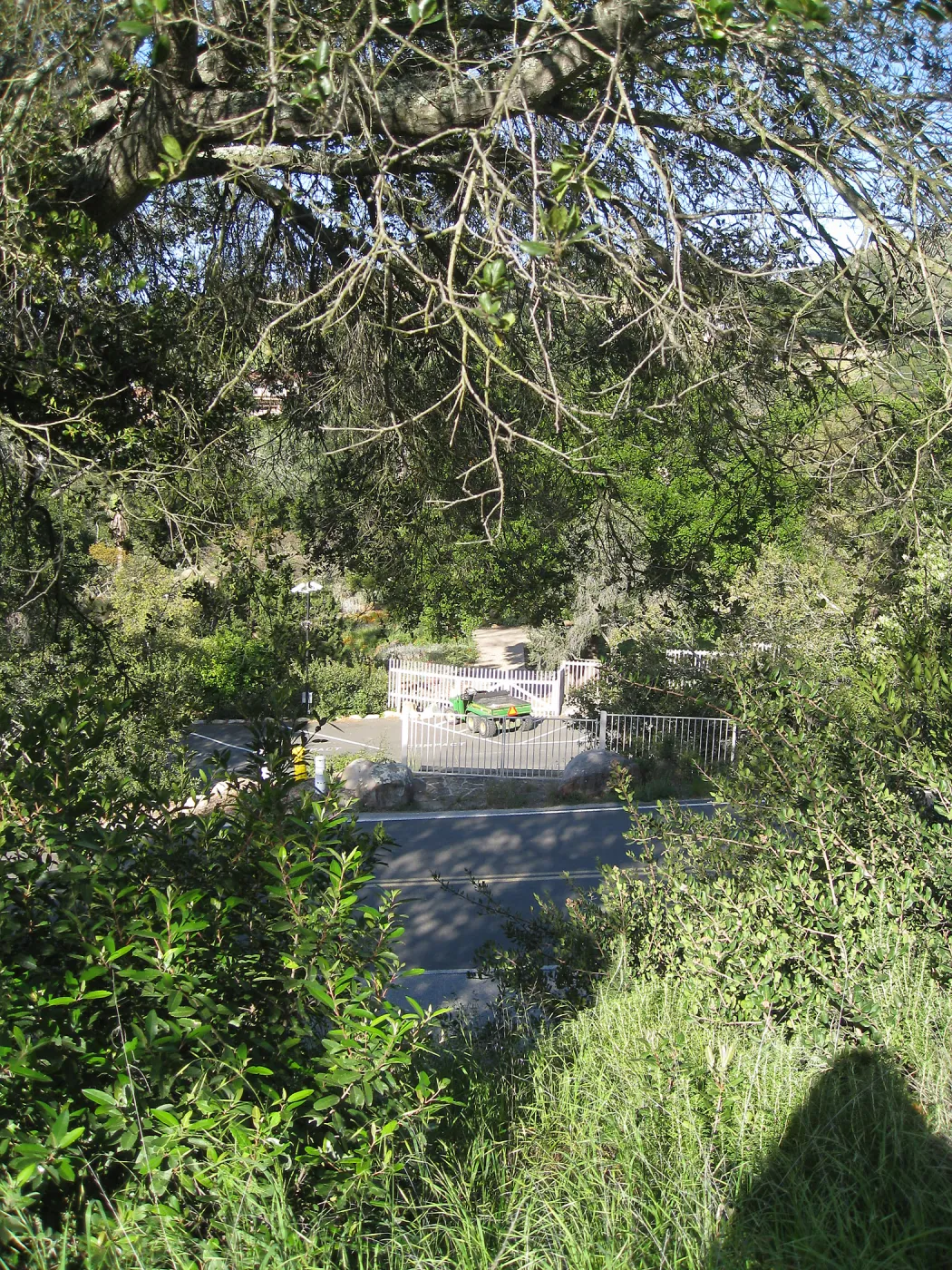 Looking over Mission Canyon Rd to the parking lot