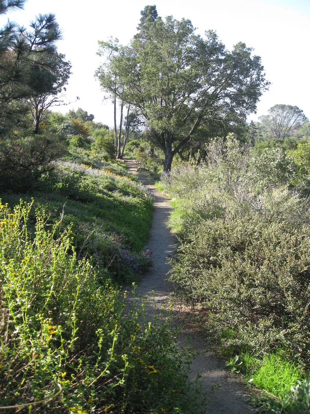 Porter Trail