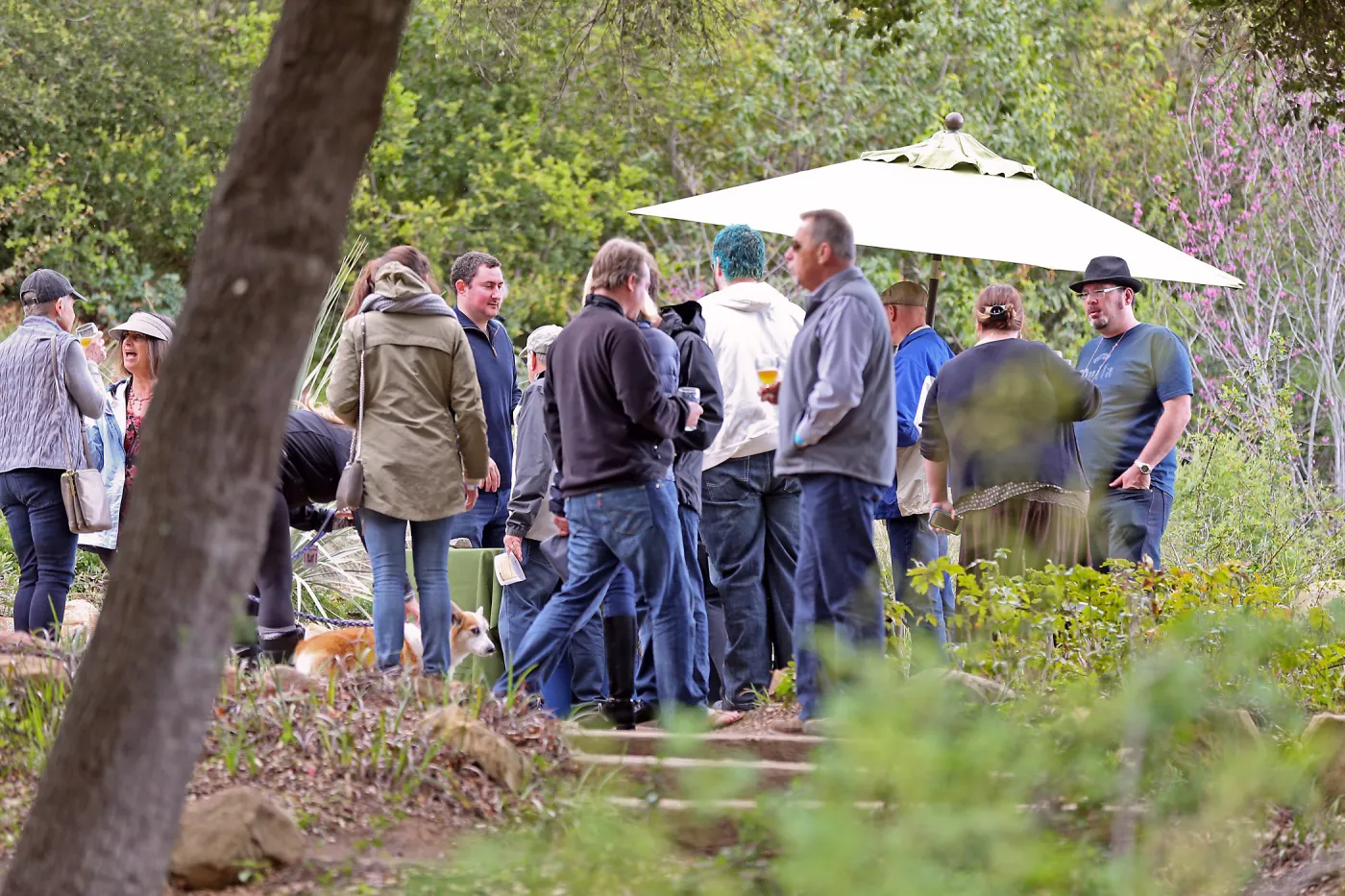 2015 Santa Barbara Beer Garden Event, Telegraph Brewing 