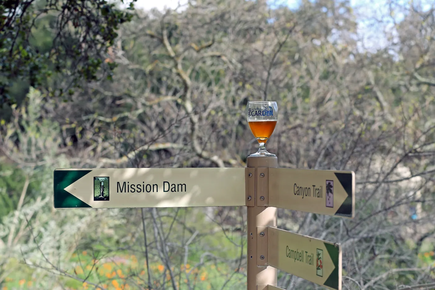 2015 Santa Barbara Beer Garden Event Glass(es)