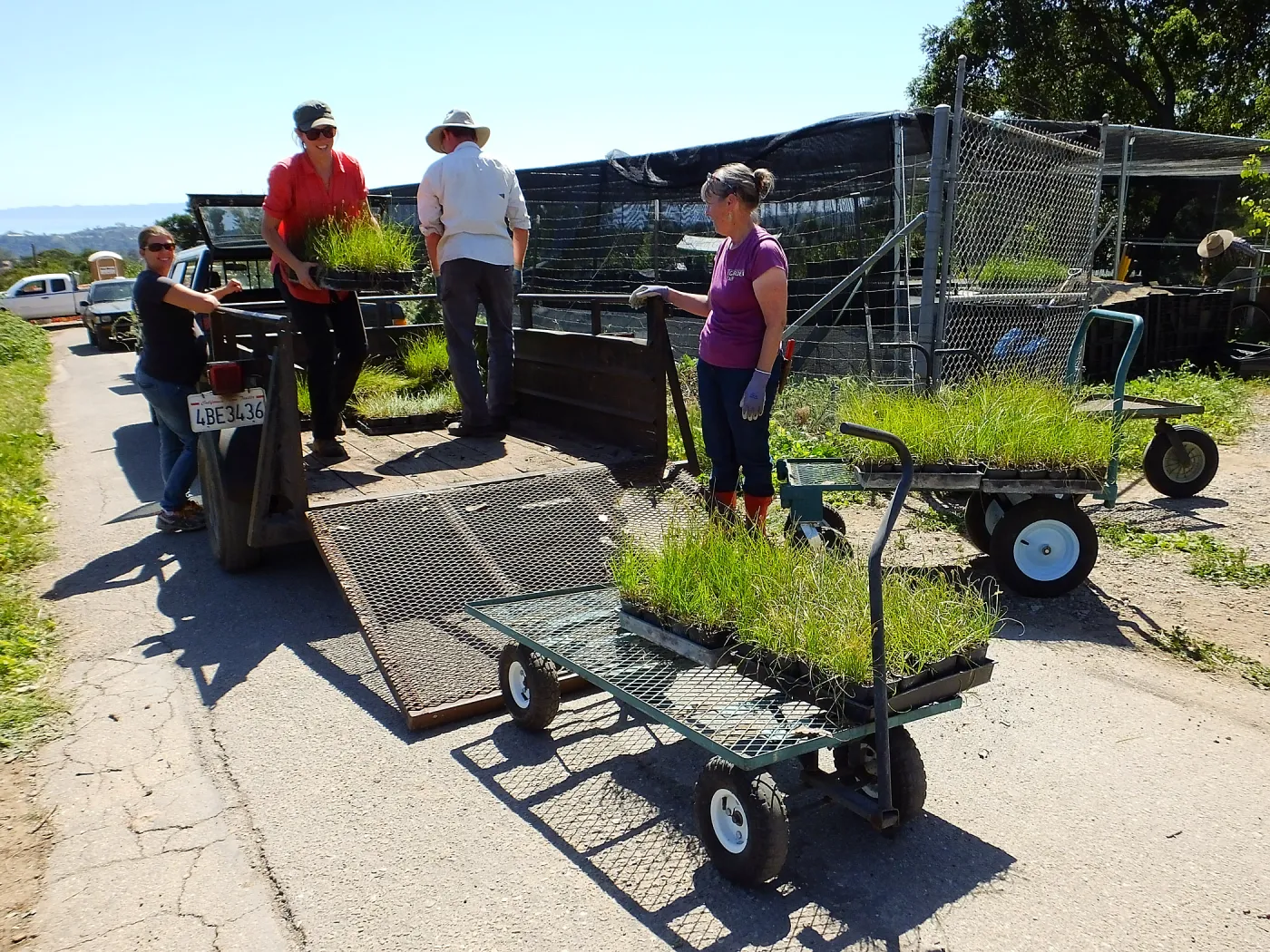 Spring Plant Sale 2015 plant delivery from Santa Barbara Natives