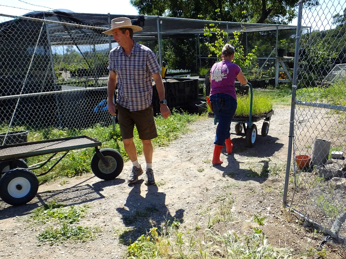 Spring Plant Sale 2015 plant delivery from Santa Barbara Natives