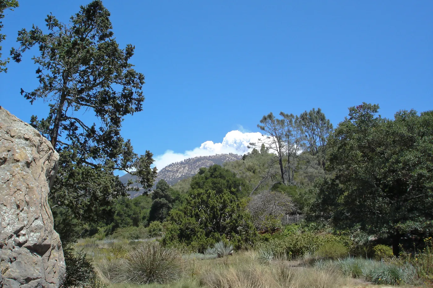 Smoke from the Zaca Fire