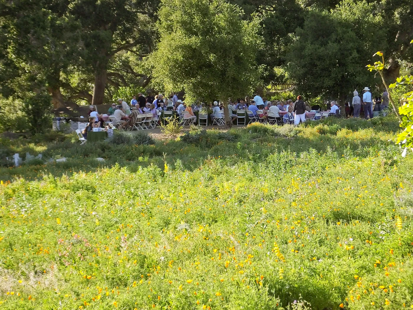 Members Picnic 2015