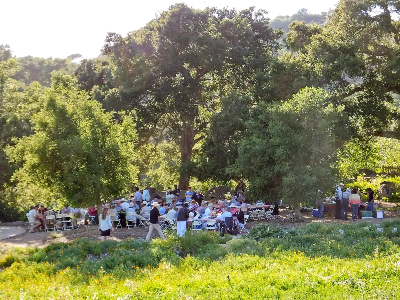 Members Picnic 2015