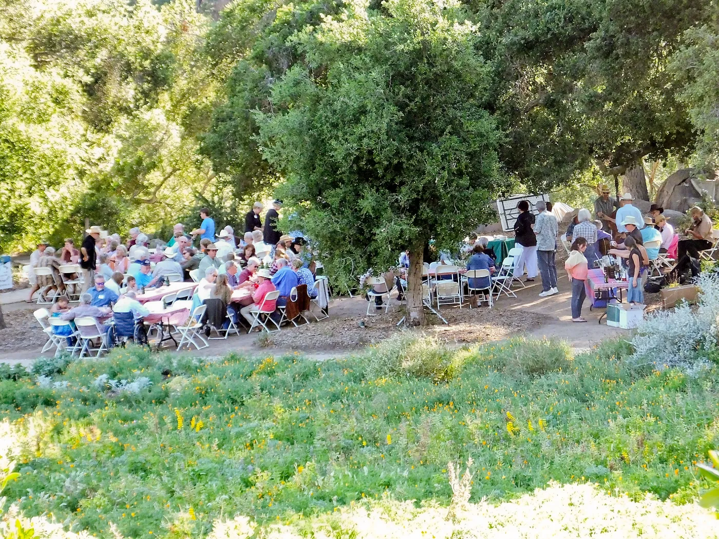 Members Picnic 2015