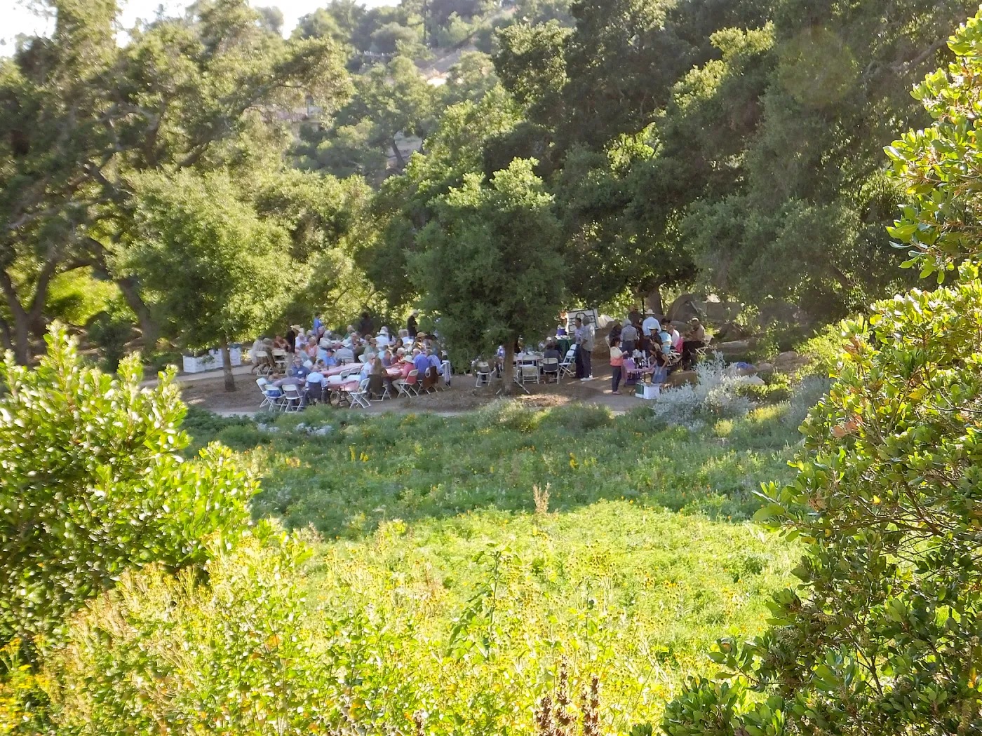 Members Picnic 2015