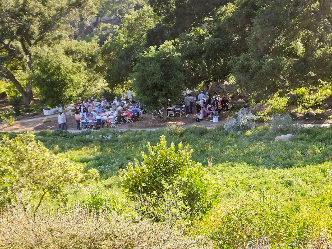 Members Picnic 2015