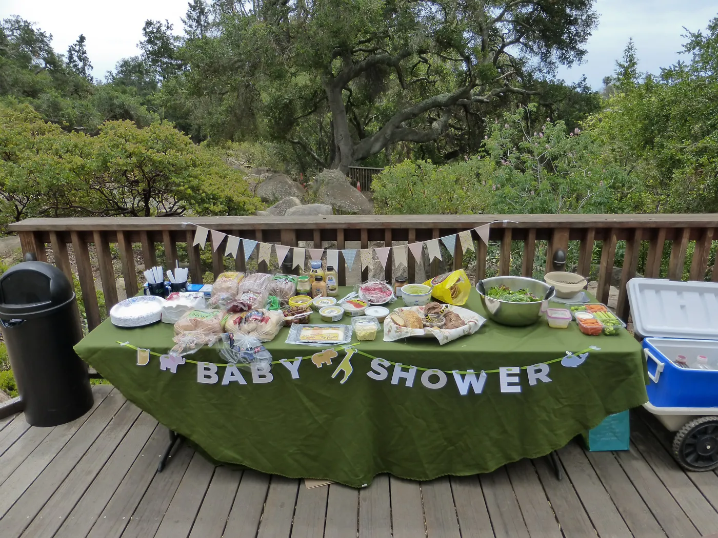 Baby Shower for Heather Wehnau