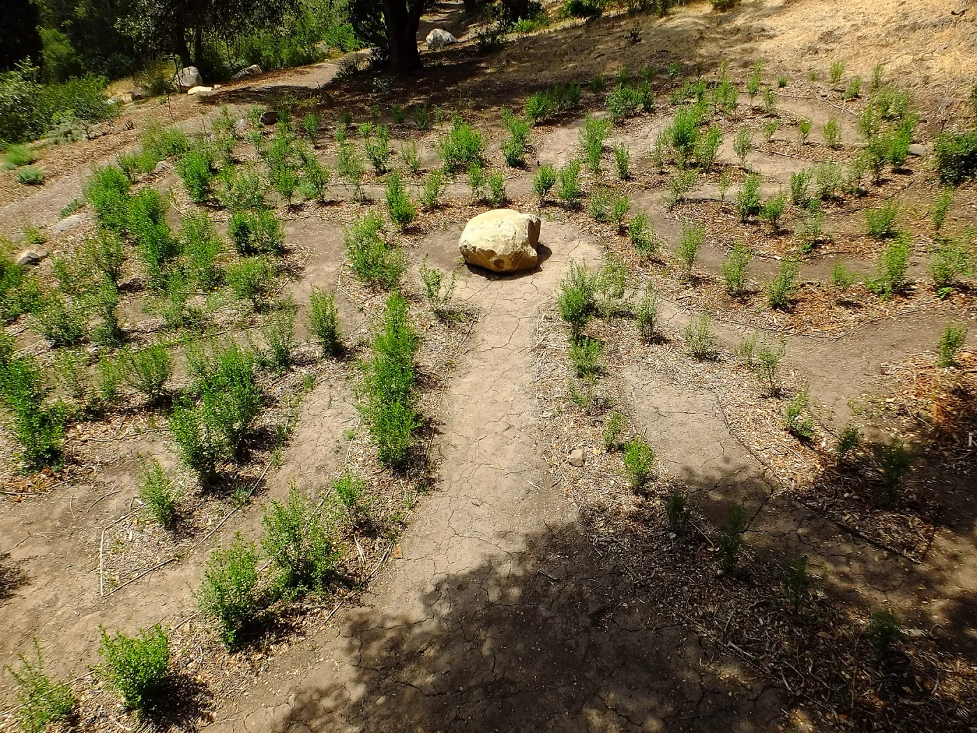 Centennial Maze