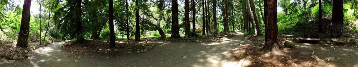 Redwood Section