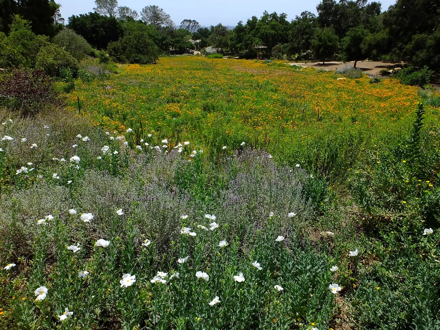 View looking south over Meadow