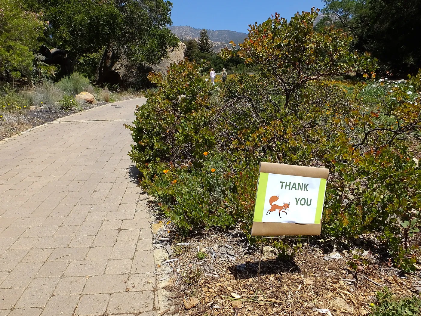 Volunteer Luncheon 2015 Welcome Signs